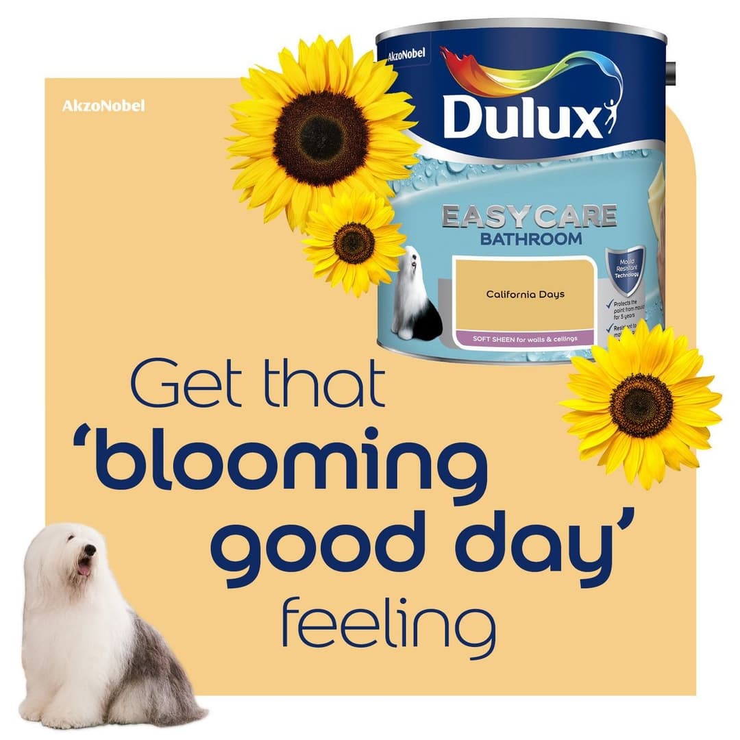 Dulux Easycare Bathroom Soft Sheen California Days – 2.5L - Image 5