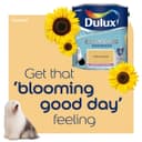 Dulux Easycare Bathroom Soft Sheen California Days – 2.5L thumbnail 5