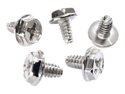 StarTech PC Mounting Screws #6-32 Silver