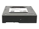 StarTech 25SAT35HDD Storage Enclosure SATA 6Gb/s thumbnail 3