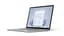 8GB 256GB Platinum