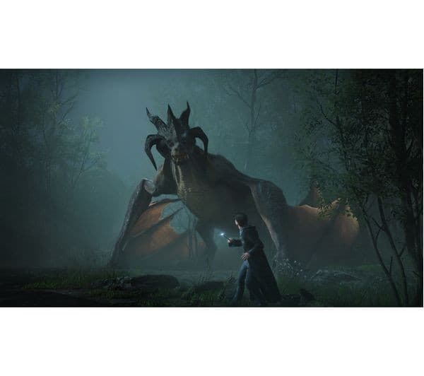 PlayStation Hogwarts Legacy PS5 - Image 5