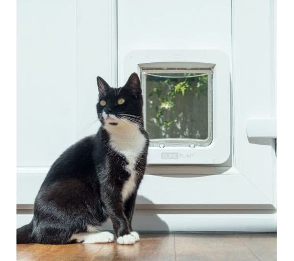 SureFlap Microchip Pet Door Connect Hub Bundle White - Image 3