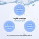 BIODANCE Hydro Cera-nol Hydrogel Overnight Face Mask 4 PCs thumbnail 5