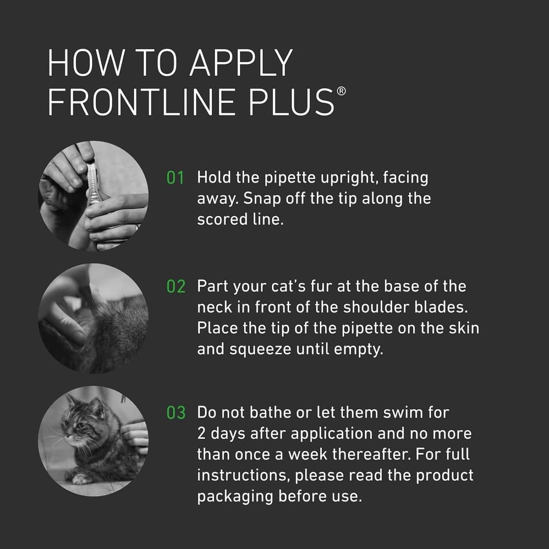 FRONTLINE Plus Flea & Tick Treatment for Cats and Ferrets - 6 Pipettes - Image 4