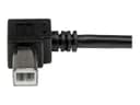 StarTech USB 2.0 A to B Cable 2m Black thumbnail 4