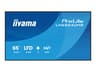 iiyama ProLite LH6564UHS-B1AG 65" LED-backlit LCD display - 4K - for digital signage
