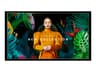 Samsung QB50C QBC Series - 50" LED-backlit LCD display - 4K - for digital signage