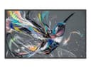 Philips 32BDL3511Q Q-Line - 32" Class (31.5" viewable) LED-backlit LCD display - Full HD - for digital signage thumbnail 2