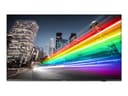 Philips 50BFL2214 50" LED-backlit LCD TV - 4K - for digital signage thumbnail 2