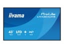 iiyama ProLite LH4364UHS-B1AG 43" Class (42.5" viewable) LED-backlit LCD display - 4K - for digital signage thumbnail 1