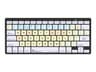 Logic Keyboards Dyslexie 60% Mini Keyboard Multicolour