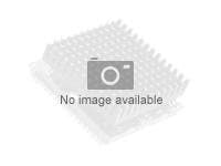 AMD Ryzen 5 4500 Processor