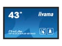 iiyama ProLite TF4339AS-B1AG 43" Class (42.5" viewable) LED-backlit LCD display - 4K - for digital signage thumbnail 1