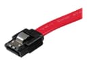StarTech LSATA12 SATA Cable 30cm Red thumbnail 4