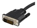StarTech DisplayPort to DVI Converter Cable 10ft thumbnail 4
