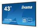 iiyama ProLite LH4341UHS-B2 43" Class (42.5" viewable) LED-backlit LCD display - 4K - for digital signage thumbnail 3
