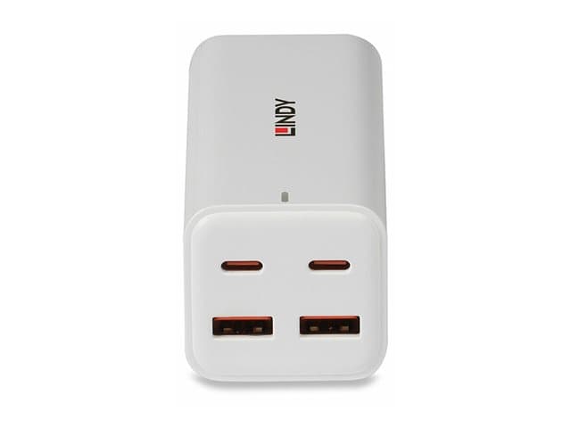 Lindy Power Adapter 100W White - Image 2