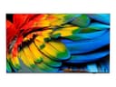 Philips 75HFL6214U Professional MediaSuite - 75" LED-backlit LCD TV - 4K - for healthcare / hotel thumbnail 1