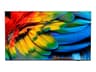 Philips 75HFL6214U Professional MediaSuite - 75" LED-backlit LCD TV - 4K - for healthcare / hotel