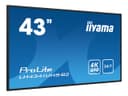 iiyama ProLite LH4341UHS-B2 43" Class (42.5" viewable) LED-backlit LCD display - 4K - for digital signage thumbnail 7