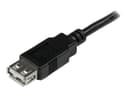 StarTech USB 2.0 Extension Cable Black thumbnail 3