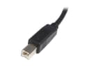 StarTech USB2HAB5M USB 2.0 A to B Cable 5m Black thumbnail 4