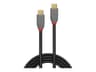 Lindy Anthra Line USB-C Cable 1.5m Black