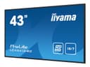 iiyama ProLite LE4341S-B2 43" Class (42.5" viewable) LED-backlit LCD display - Full HD - for digital signage thumbnail 3