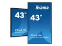 iiyama ProLite LH4341UHS-B2 43" Class (42.5" viewable) LED-backlit LCD display - 4K - for digital signage thumbnail 10