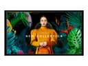 Samsung QB50C QBC Series - 50" LED-backlit LCD display - 4K - for digital signage thumbnail 2