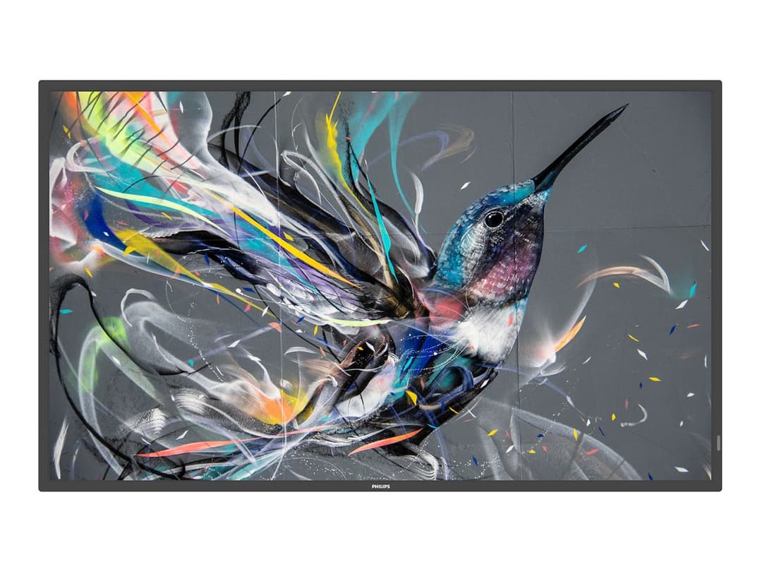 Philips 50BDL3650QE Q-Line - 50" Class (49.5" viewable) LED-backlit LCD display - 4K - for digital signage - Image 1