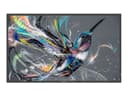Philips 50BDL3650QE Q-Line - 50" Class (49.5" viewable) LED-backlit LCD display - 4K - for digital signage thumbnail 1