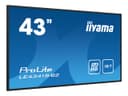 iiyama ProLite LE4341S-B2 43" Class (42.5" viewable) LED-backlit LCD display - Full HD - for digital signage thumbnail 7