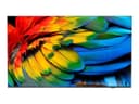 Philips 75HFL6214U Professional MediaSuite - 75" LED-backlit LCD TV - 4K - for healthcare / hotel thumbnail 2