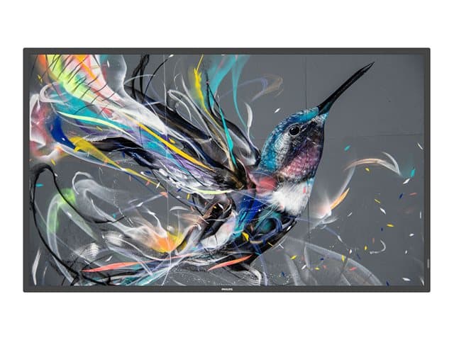 Philips 50BDL3650QE Q-Line - 50" Class (49.5" viewable) LED-backlit LCD display - 4K - for digital signage - Image 2