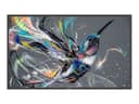 Philips 50BDL3650QE Q-Line - 50" Class (49.5" viewable) LED-backlit LCD display - 4K - for digital signage thumbnail 2