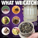 DynaTrap DT2000XLP 1 Acre Outdoor Insect and Mosquito Trap Tungsten thumbnail 6