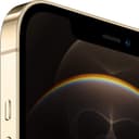 Apple iPhone 12 Pro Max, 256GB, Gold thumbnail 2