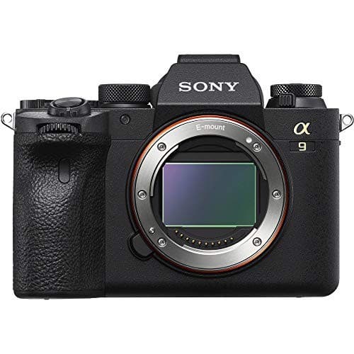 Sony ILCE-9M2 Full-Frame 24.2MP Mirrorless Interchangeable Lens Camera Body Only (Black) - Image 10