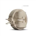 Marshall Major V Wireless Headphones Cream thumbnail 7