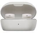 Bose QuietComfort Earbuds White Smoke thumbnail 3
