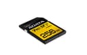 256GB AData Premier ONE SDXC UHS-II U3 275MB/s Class 10 Memory Card thumbnail 3