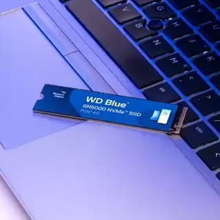 Western Digital WDS200T4B0E internal solid state drive 2 TB M.2 PCI Express 4.0 NVMe - Image 4