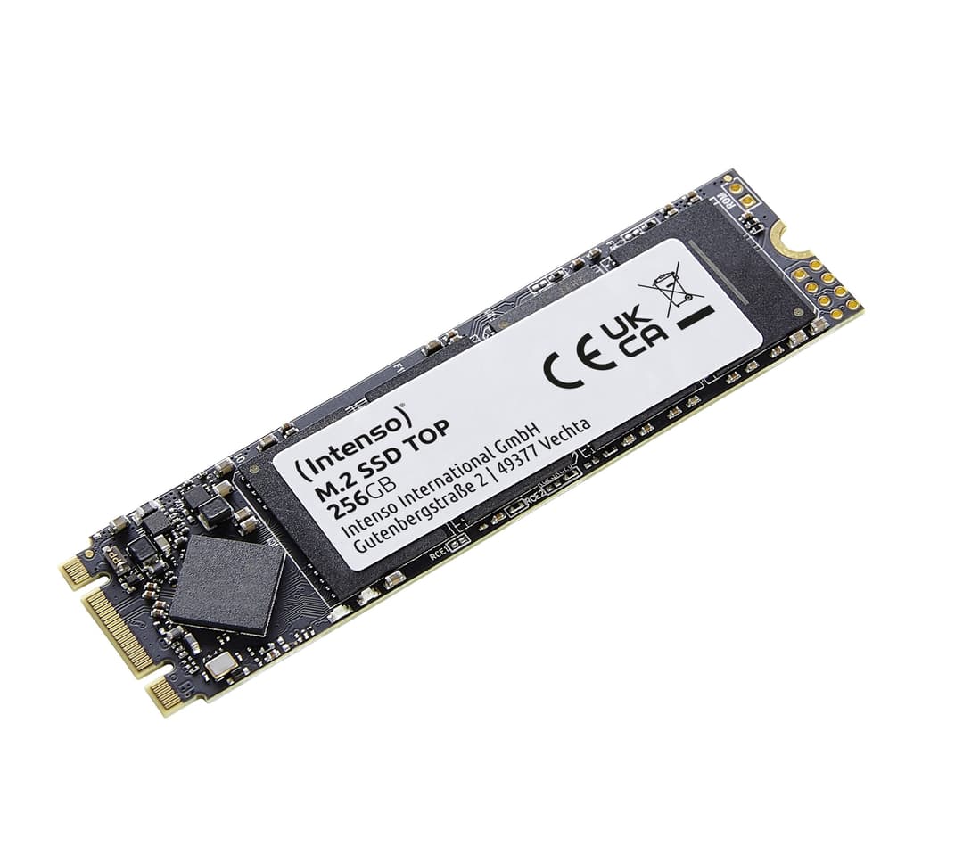 Intenso Top M.2 256 GB Serial ATA III - Image 1