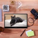 Acer PM161Q Bbmiuux 15.6" FHD Portable Monitor - Black thumbnail 5