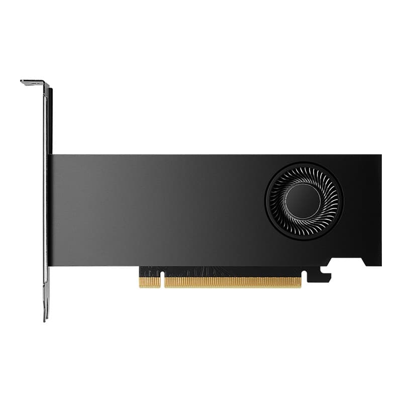 PNY NVIDIA RTX 2000 Ada Generation 16 GB GDDR6 - Image 1