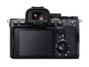Sony Alpha 7S III Full-frame Interchangeable Lens Mirrorless Camera thumbnail 4