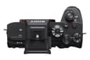 Sony Alpha 7S III Full-frame Interchangeable Lens Mirrorless Camera thumbnail 5