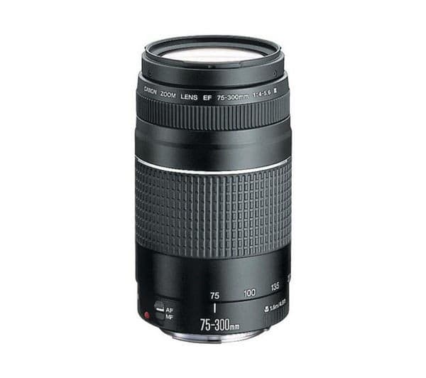 CANON EF 75-300 mm f/4.0-5.6 III USM Telephoto Zoom Lens - Image 2